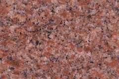 north american pink